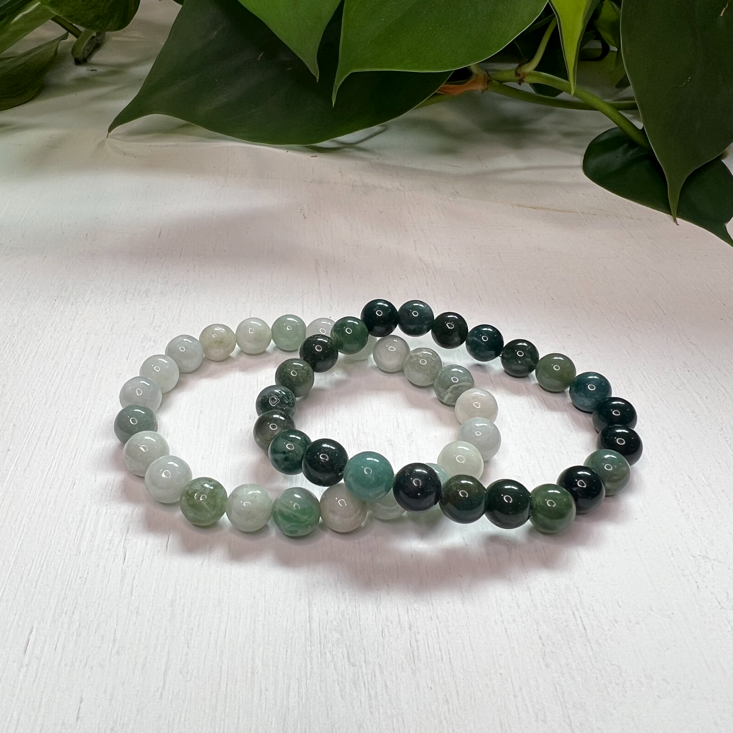 Fresh Start/ New beginnings Set
