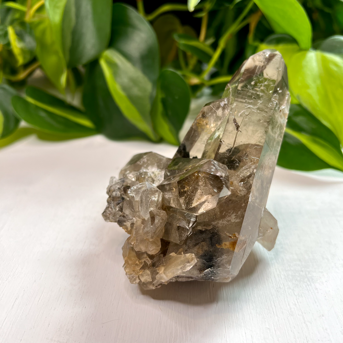 Lodolite aka Garden Quartz Smokey Cluster