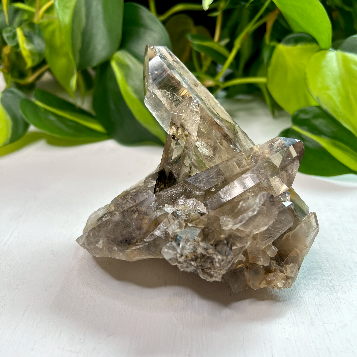 Lodolite aka Garden Quartz Smokey Cluster