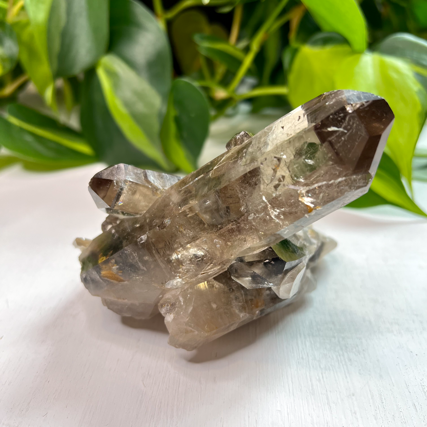 Lodolite aka Garden Quartz Smokey Cluster