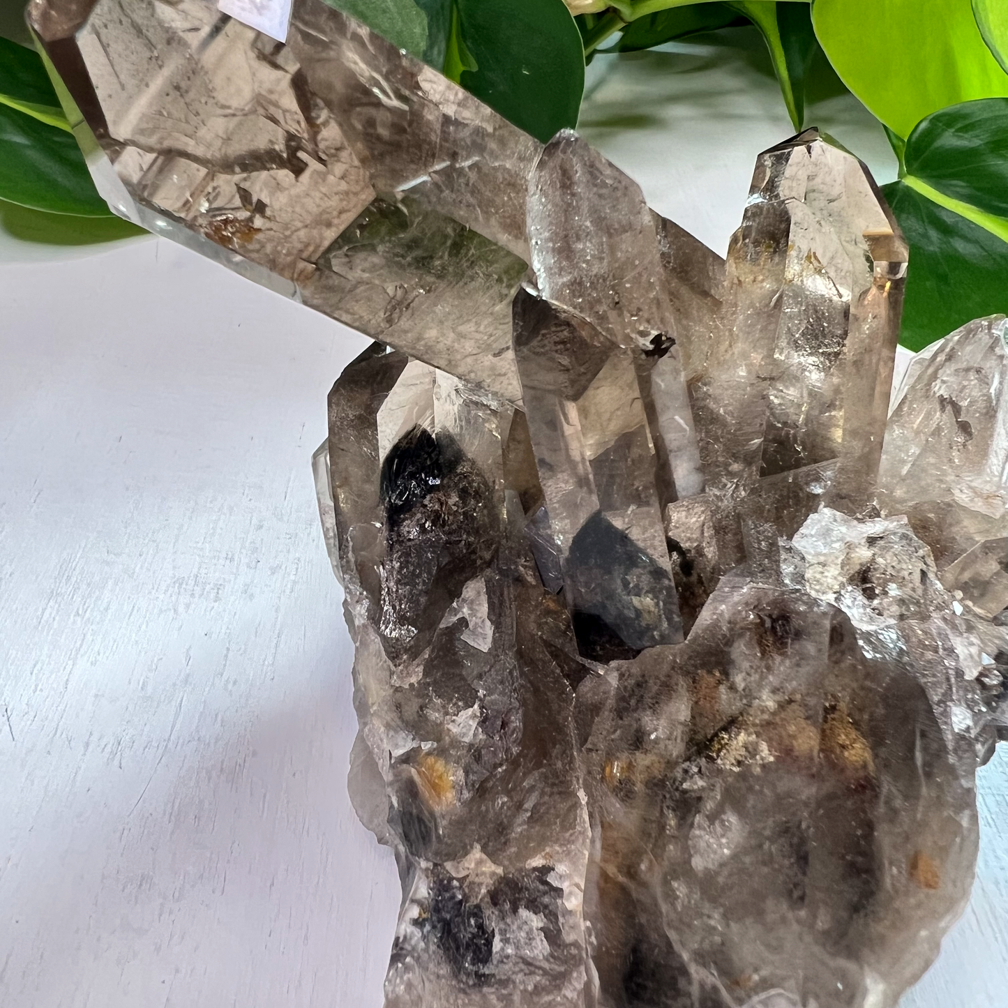 Lodolite aka Garden Quartz Smokey Cluster