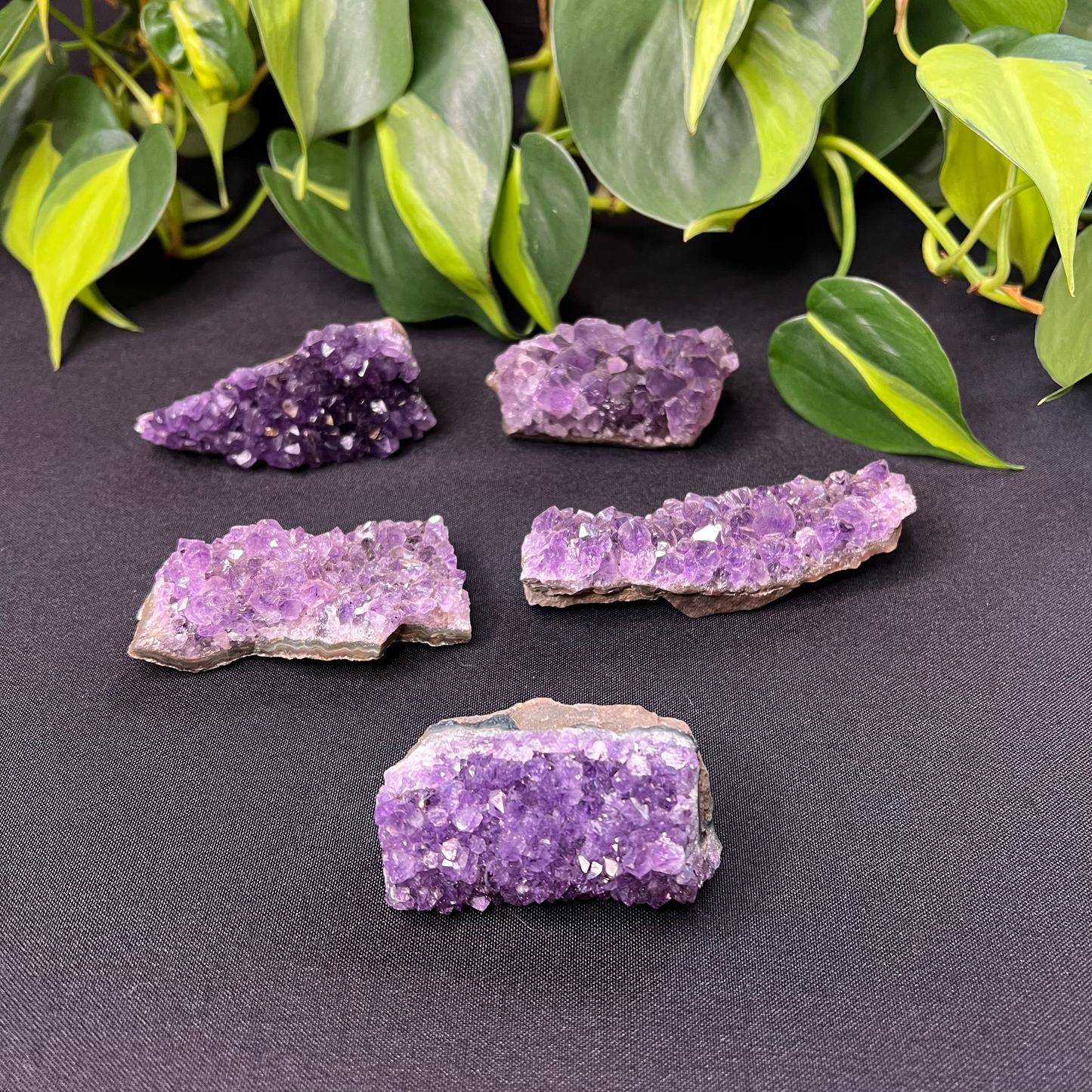 Amethyst Cluster