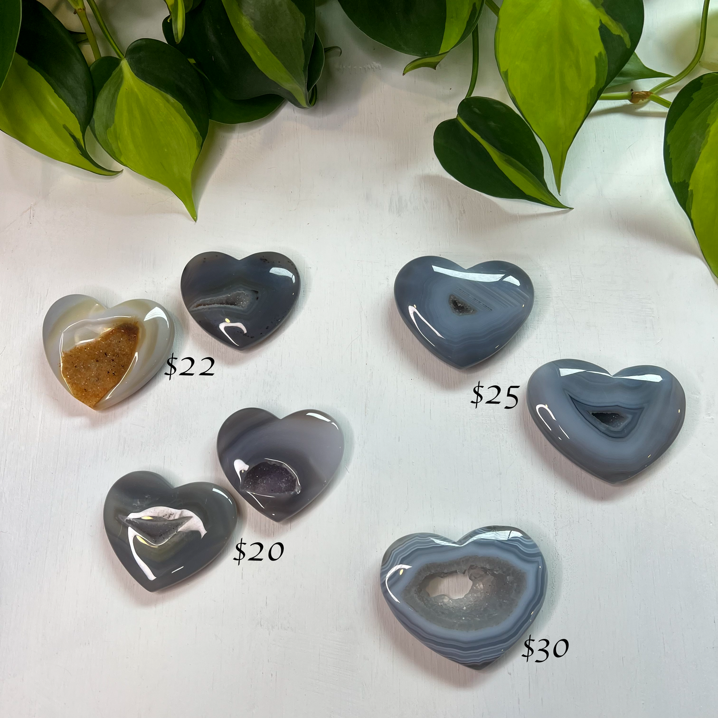 Orca Agate Hearts